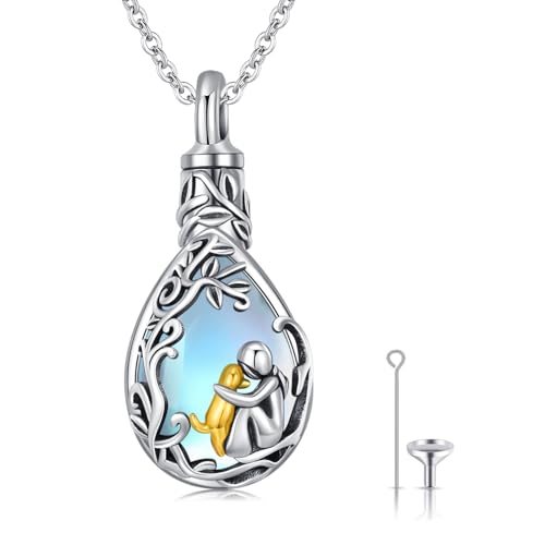 Pendentif urne funéraire colibri en argent S925 de haute qualité pour femme