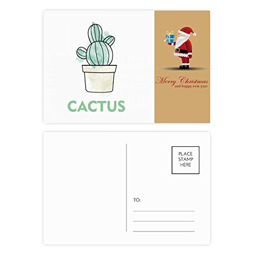 Cartes postales Cactus Noël aquarelle : lot de 20 jolies cartes de vœux pour les fêtes