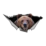 REOTEL 2Pcs Grizzly Braunbär 17CM 20CM Selbstklebende Aufkleber Auto Aufkleber wasserdichte Auto Dekore auf Stoßstange Heckscheibe Laptop DIY 3D Haustier Aufkleber