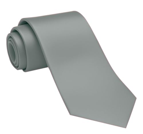 Dibi Solid Color Ties for Men and Teens