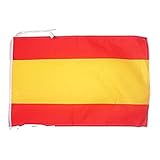 AZ FLAG