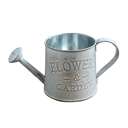 Macetas de cubo de metal para interiores o exteriores, macetas vintage para flores de granja, decoración de regadera en forma de cubo de flores vintage, macetas de metal con, pequeñas para plantas