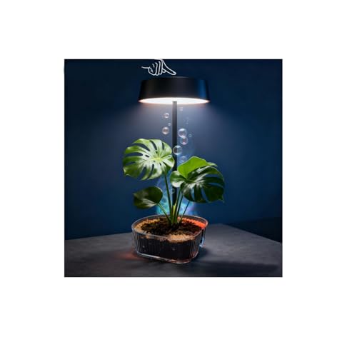 Chayiment Bedside Lamp, Table Lamp for Bedroom with 4 Color Dimming, Grow Lights for Indoor Plants, Battery Powered Cordless Light for Bedroom