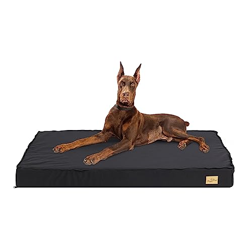 Colchones Perros Xxl Marca BingoPaw