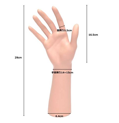 Amazon.co.jp: EventStyle ハンドトルソー ハンドマネキン