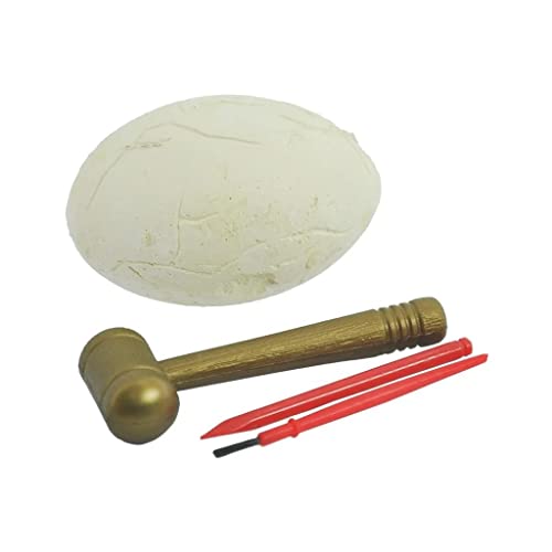 Dino Fossil Escavacao Ovo Sortido, DM Toys