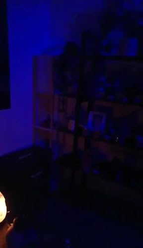 Fuck Off Neon Sign Word Blue LED Neon Muur Licht Fuck Off Neon Sign Word Blue LED Neon Muur Licht