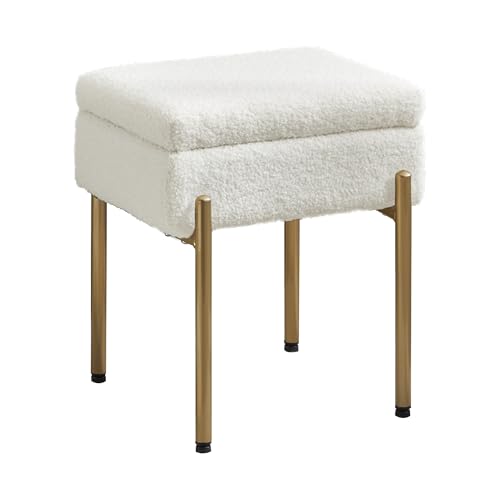 Vanity Stool Chair, Small Ottoman Stool with Storage, Makeup Vanity