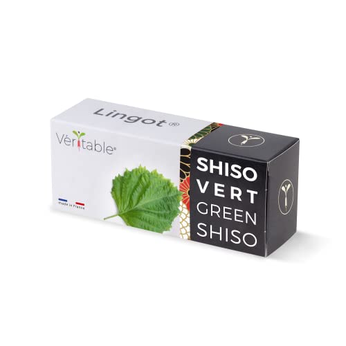 Lingot® Shiso Vert - Compatible Potager d'Intérieur Véritable® et Exky® - Recharge prête à l'emploi - Substrat avec Graines Intégrées…