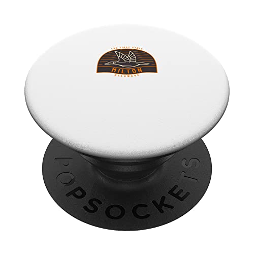 Vintage Retro MILTON DELAWARE eagle america PopSockets Swappable PopGrip, Black