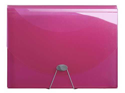 Exacompta 58770E Premium Kunststoff-Fächermappe Iderama mit Gummizugverschluss DIN A4 13 transparente Fächer, 1 Stück Zufallsfarbe