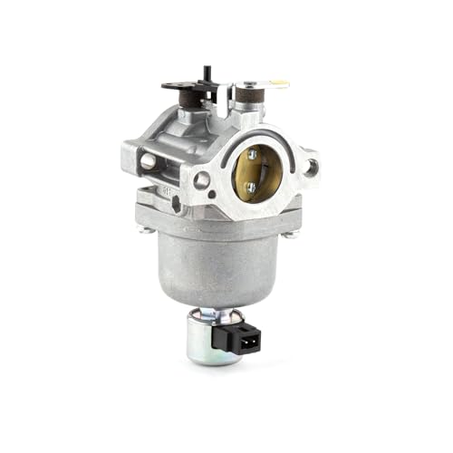 Carburateur moteur Briggs et Stratton - 590400