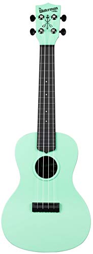 Kala Waterman KA-CWB-GN Sea Foam Green Concert-ukelele incl. Gigbag