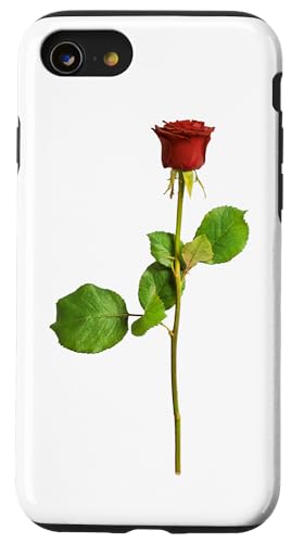 Custodia per iPhone SE (2020) / 7 / 8 Bella rosa a stelo lungo realistico fiore amore romanzo