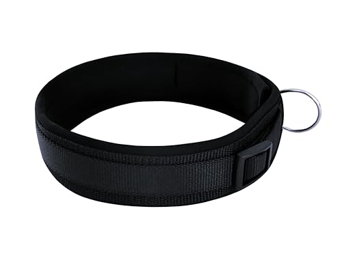 BUDDYPACK-Halsband Extra-Breit & Weich mit Neopren-Polster für Kleine und Große Hunde (Schwarz, Größe M)