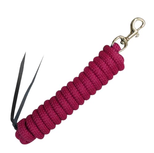 Pink Nylon Training Lead Rope Leather Ends 14' w/Brass Snap Showman