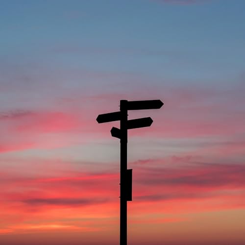 596: Would You Rather IV: Would You Dan Rather?