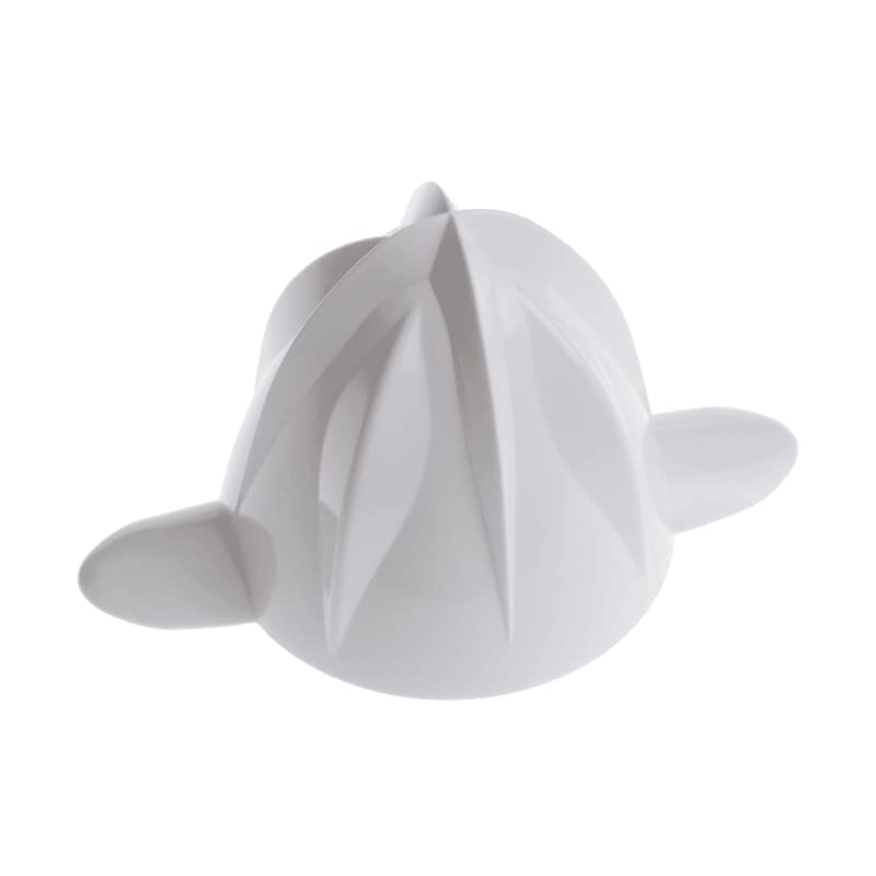 CONE BLANC PRESSE AGRUMES POUR PETIT ELECTROMENAGER KRUPS - MS-4879304
