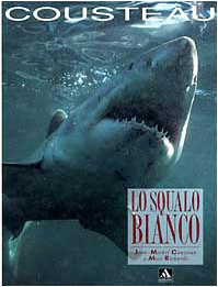 Lo squalo bianco