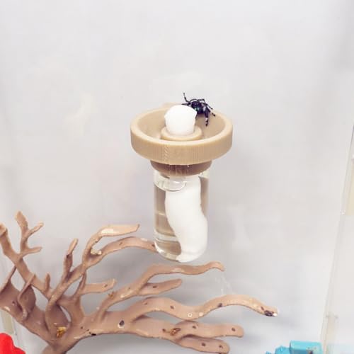 Jumping Spider Water Dispenser Magnetic Hanging Feeder Suitable for Jumping Spiders Tarantulas Praying Mantises Arboreal Animals and Other Small Animal Enclosure Accessories (Wood Color 5ML)