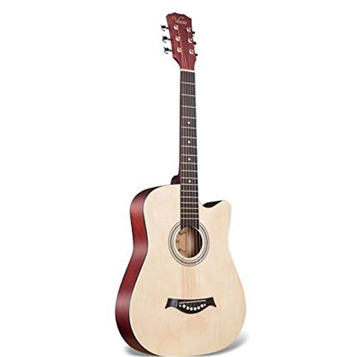 AR[XeBbNM^[ w̗KtH[NM^[S҃M^[ؐM^[ S (F : Natural, Size : 38 inches)