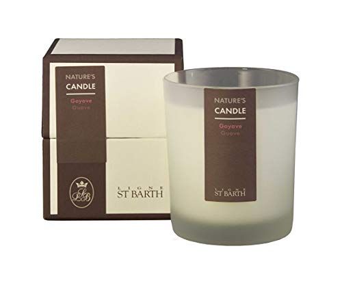 Preisvergleich Produktbild Duftkerze Guave 180 g