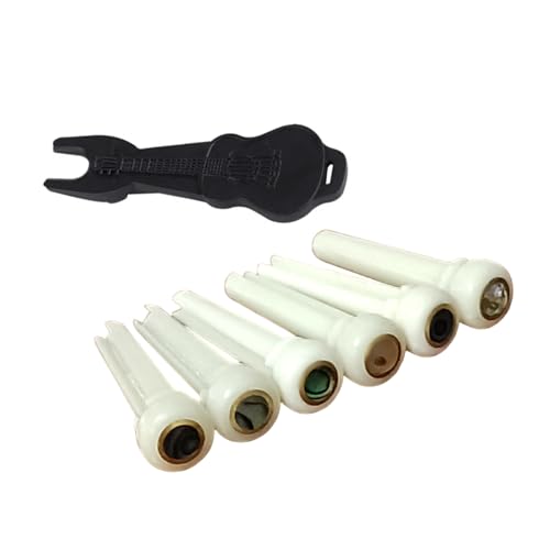 pIȍM^[ubWsŒ茷Bi܍eNX`M^[TEhGnXg