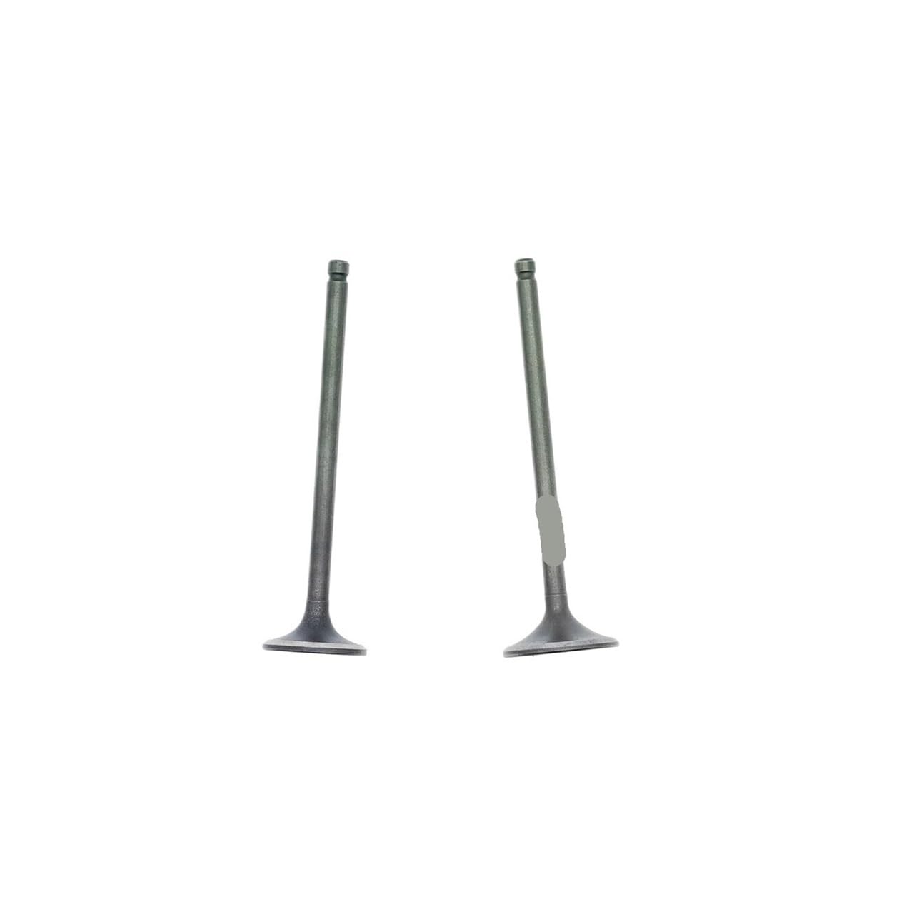 Joints d'huile de soupape DM150 pour rénovation haut moteur 150cc
