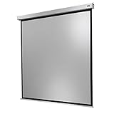 celexon elettrico Home Cinema- e Business -Motor-proiettore-Schermo Incl. Scatola di controllo e telecomando Motore Professional Plus -00 x 200 cm - 1:1