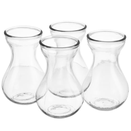 Ciieeo 4Pcs Creative Glass Flower Vase Clear Hydroponics Planter for Hyacinth Bulbs Elegant Indoor Outdoor Decor and Easy to Clean
