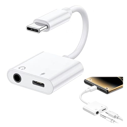 2in1Cz ϊA_v^ USB Type-C 3.5mm CzWbN ϊ ϋvP[u nC] Hi-Fi Cz[d ʒ ʘb yΉ ACtH15 16Ή(^Cv2)