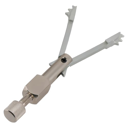 Outil de rétention de tendeur de chaîne de distribution EN-52436 Chevrolet Cadillac LSY
