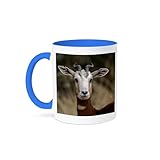 3dRose Mhorr Gazelle, Antelope, Louisville Zoo, Kentucky - US18 AJE0293 - Adam Jones 11oz Two-Tone Blue Mug