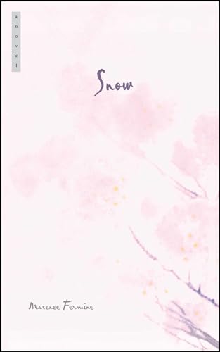  Snow: A Novel