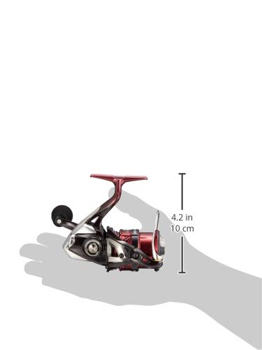 エギングリールの最適なギア比とは ハイギアとノーマルギアの違いを解説 釣りの人