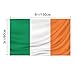 Irish Flag 3X5-Ireland Flag Polyester outdoor indoor Canvas Header and Double Stitched with two Brass Grommets