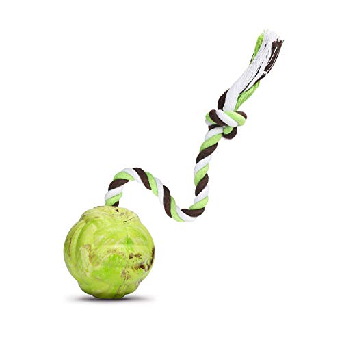 EETOYS Dog Ball Rubber Interactive Training Ball on Rope for Tug Fetch Play Large