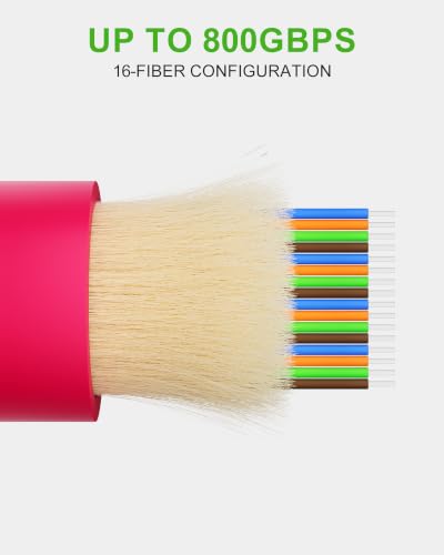 Image of VANDESAI OM4 MPO-16 Fiber Patch Cable, Multimode Female Type B, 5M /16.4FT