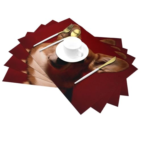 Set de table tissé Corgi en PVC lavable et antidérapant pour table de cuisine x4