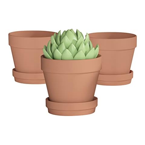 Fcacti 8 Inch Clay Pot for Plant with Saucer - 3 Pack Large Terra Cotta Plant Pot with Drainage Hole, Clay Planters Pot, Terracotta Pot for Indoor Outdoor Plant Cover