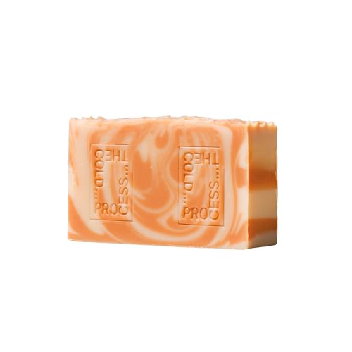 THE COLD PROCESS R[hvZX  ݂͂VAo^[ HONEY & SHEA BUTTER Ō`Ό \[vo[ Y 140g