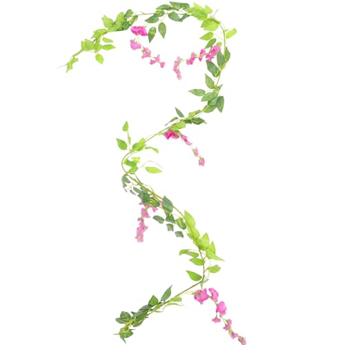 COHEALI lĤƓ̉Ԃ̂ 18m ݂艺 ǂ⑋ ւ̃EFfBOz[p[eB[ptFCNO[