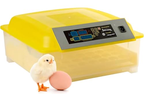 Incubadora para 48 Huevos con Giro Automático y Control Digital de Temperatura, Diseño Compacto Color Amarillo, Ideal para Incubación de Pollos y Aves en Producción Doméstica