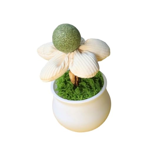 �����̃J�g�j�b�v�A�ؔ���������L�L���������郀�[�h�ƃA�N�e�B�r�e�B�G���^�[�e�C�����g�y�b�g�L���b�g�j�b�v�e�B�[�U�[�L�b�e���M�t�g�����L�G���^�[�e�C�����g