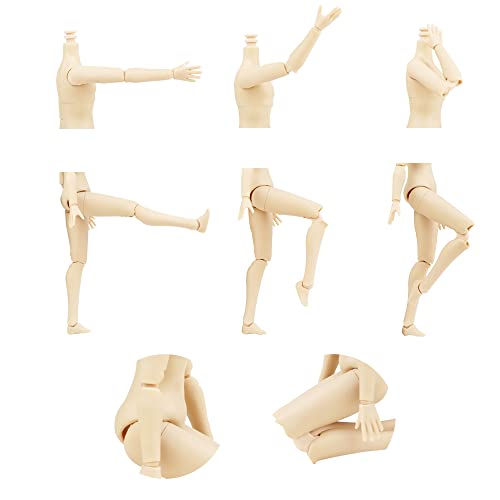 Sacpero 1/6 Bjd Doll Body Ball 8.2 In Jointed Sd Dolls Nendoroid Body 40 Joints Girls Boys Body With 6 Set Spare Hands (Girl Milky White) #TOP3
