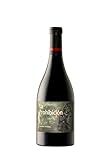 La Prohibición - Añada actual - D.O. Bierzo - Vino Tinto Garnacha Tintorera - Botella 750 ml
