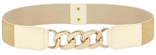 Wide Elastic Belts Stretchy Cinch Waist Belt for Women Dresses