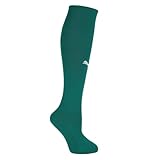 Puma Men's Team Socks