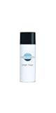 For CK Technologies L0006EB White 12oz Paint Single Stage