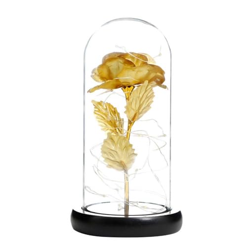 Vitamínicos, Balabow Flor Artificial Rosa en Cúpula de Cristal con Cordón de Luz Led,Romántico Regalo para Mujer,Regalo para el Día de San...